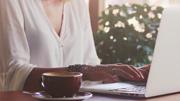 Mujer joven freelancer escribiendo en el ordenador portátil — Vídeos de Stock