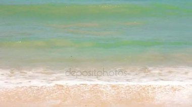 muhteşem tropik sahil