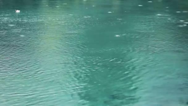 Lluvia en la superficie del agua — Vídeos de Stock