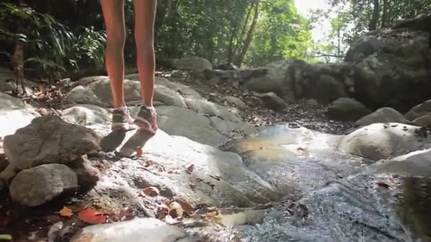 Kobieta jest gotowa do rozpoczęcia, trekking w pobliżu górskiej rzeki — Wideo stockowe