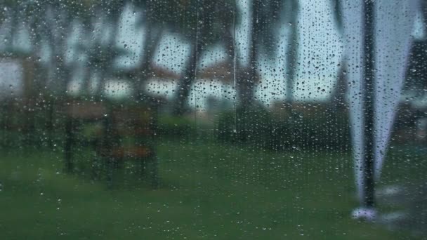 Raindrops on the window glass — Stock Video