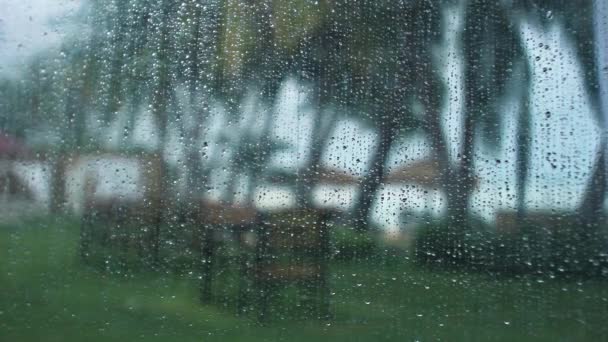 Gotas de chuva no vidro da janela — Vídeo de Stock