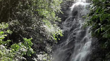 Jungle şelale Milli Parkı içinde