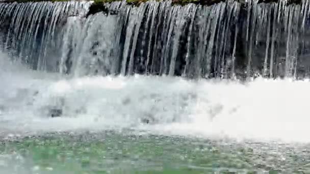 chute d'eau jungle dans le parc national 