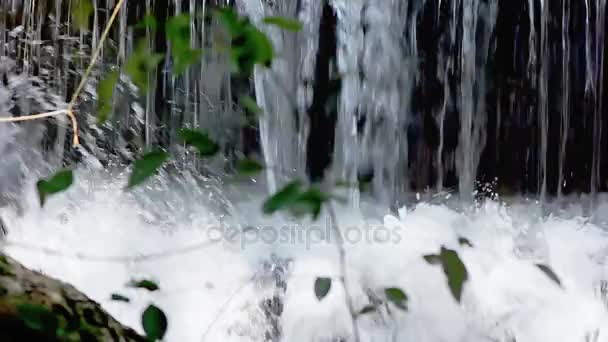 Jungle wodospad w parku narodowym — Wideo stockowe