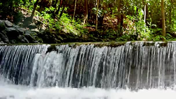 Jungle wodospad w parku narodowym — Wideo stockowe