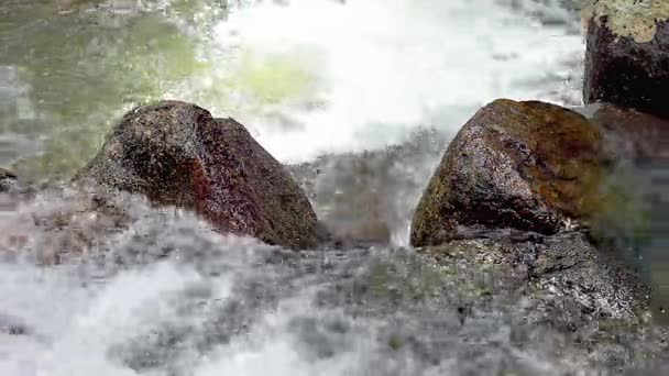 Creek rzekę dżungli z wodospadem — Wideo stockowe
