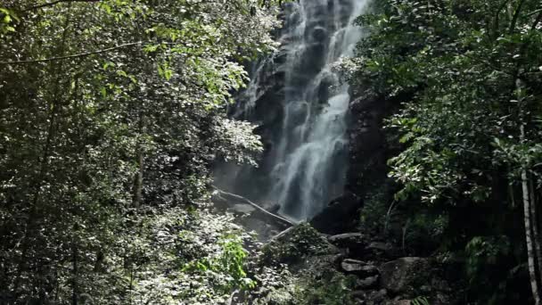 Водопад джунглей в национальном парке — стоковое видео