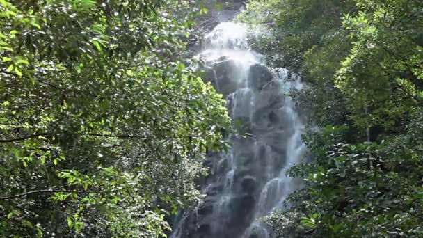 Jungle waterfall in national park — Stock Video