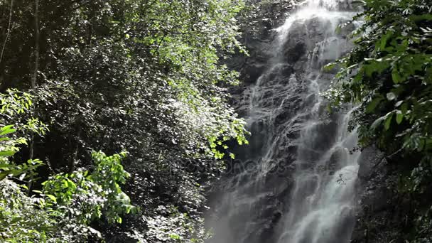 Cachoeira da selva no parque nacional — Vídeo de Stock