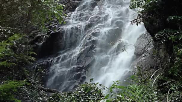 Jungle waterfall in national park — Stock Video