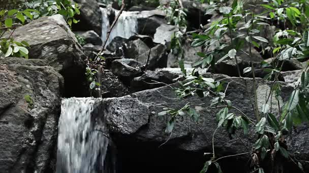 Водопад джунглей каскадом вниз в национальном парке — стоковое видео