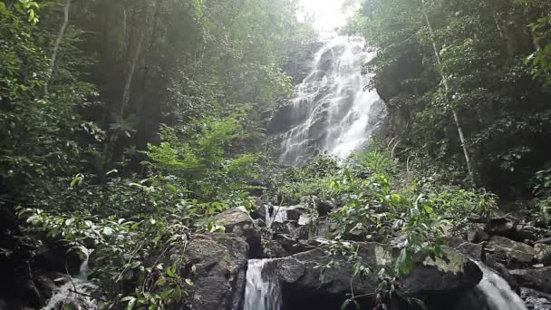 Jungle waterfall in national park — Stock Video