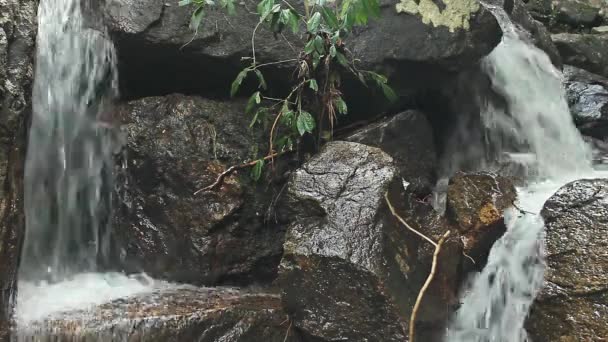 Водопад джунглей каскадом вниз в национальном парке — стоковое видео