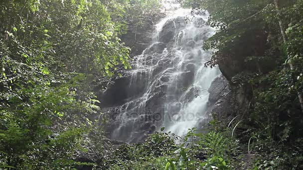 Jungle waterfall in national park — Stock Video