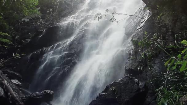 Водопад джунглей в национальном парке — стоковое видео