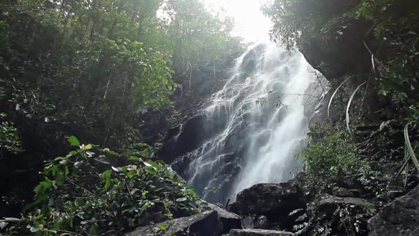 Cascada de la selva en el parque nacional — Vídeo de stock