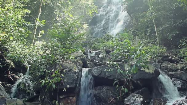 Jungle waterfall in national park — Stock Video