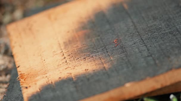 Home decorador queimando tábuas de madeira — Vídeo de Stock