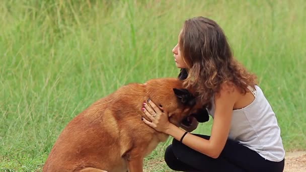 Young woman playing with a german shepherd — Stock Video