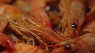 Barbekü karides makro