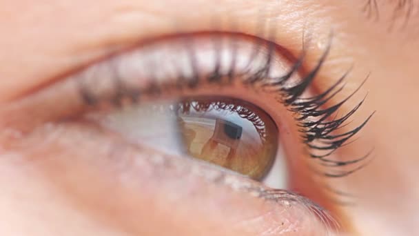 Brązowe oczy kobiece makro — Wideo stockowe