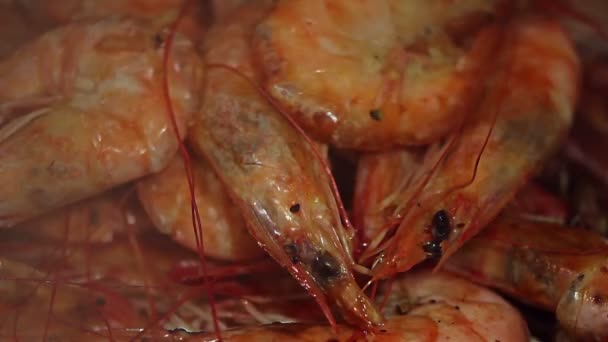 BBQ shrimp macro — Stock Video