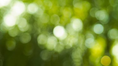 Doğal bokeh soyut desen arka plan.