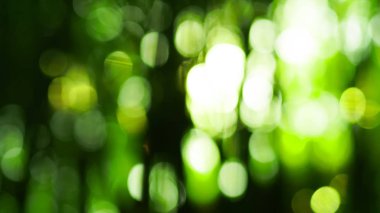 Doğal bokeh soyut desen arka plan.