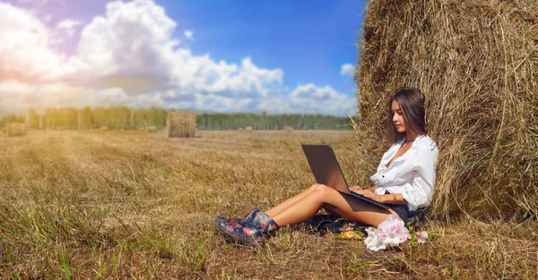 Kadın freelancer hasat alanında laptop ile çalışma