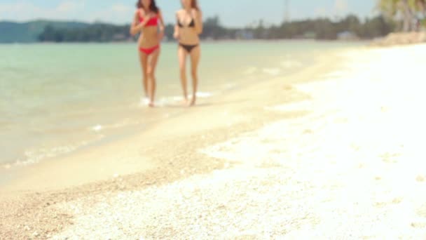 Two beautiful models in bikinis running along the shore of a beach — Stock Video