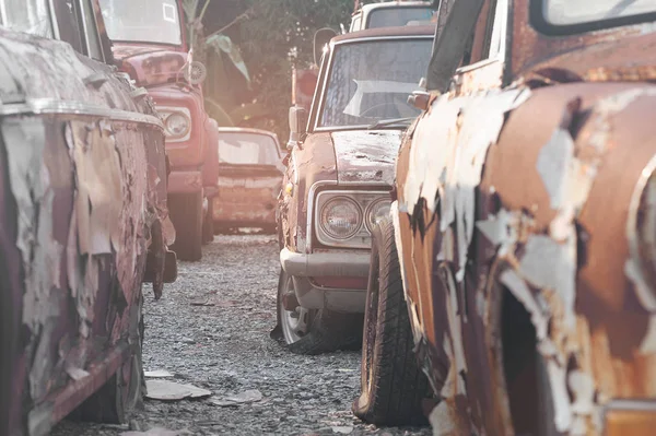 Filas de coches en un patio de salvamento uno frente al otro — Foto de Stock