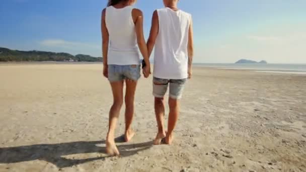 Pareja lesbiana caminando en la playa — Vídeo de stock