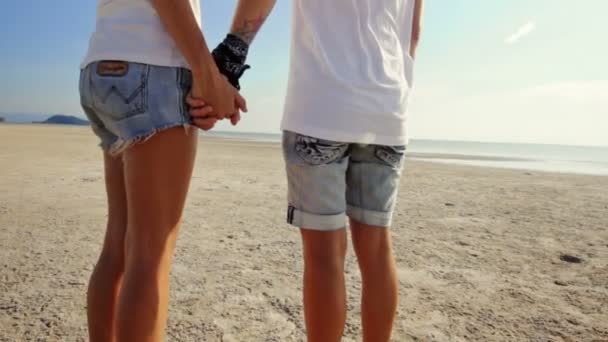 Lesbian couple walking on the beach — Stock Video