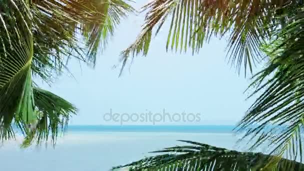 Вид на море, обрамленный пальмовыми листьями — стоковое видео