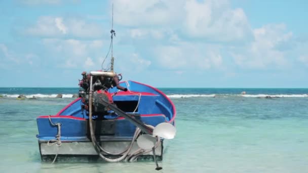 Традиційні дерев'яні човни на березі тропічного пляжу — стокове відео