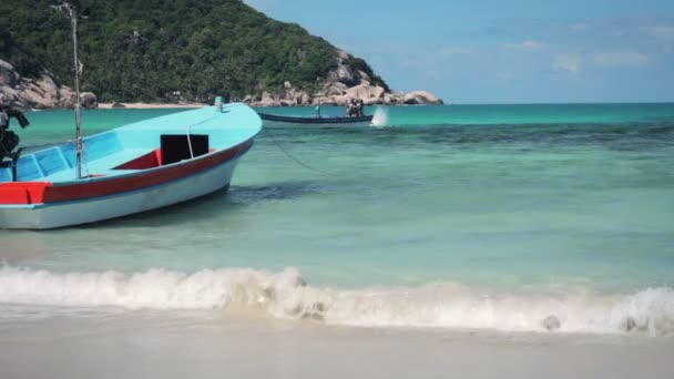 Hagyományos, fából készült csónakok tropical beach partján — Stock videók