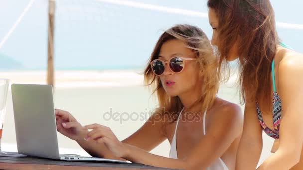 Дві молоді дорослі жінки працюють на ноутбуці разом — стокове відео