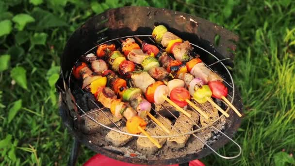 Grillen am Sommerwochenende — Stockvideo