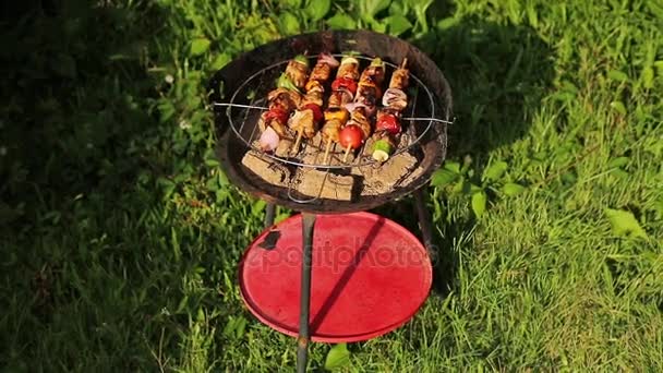 Grillen am Sommerwochenende — Stockvideo