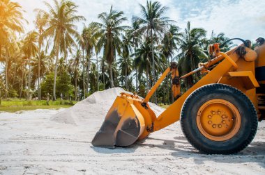 Ormanda sarı traktor