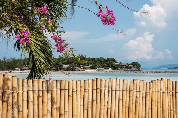 Bamboo fence. Beautiful landscape with sea view. — Stock Photo, Image