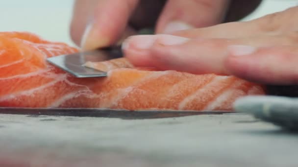 Sushi chef-kok plakjes verse zalm op de sushibar — Stockvideo