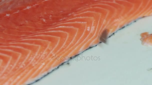 Koki memotong salmon, mempersiapkan salmon — Stok Video