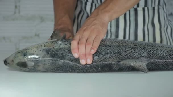Mãos com faca corta peixe de salmão. Peixe cru sobre fundo branco — Vídeo de Stock