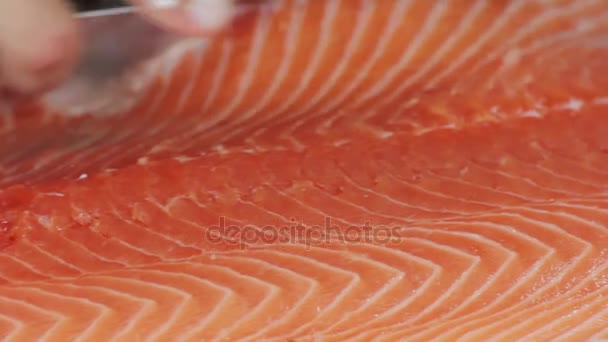 Chef cortando el salmón, preparando el salmón — Vídeos de Stock