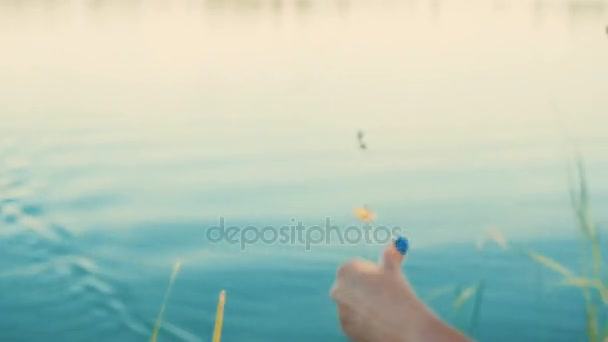 Poissons d'eau douce accrochés à un hameçon pêché pendant la pêche . — Video
