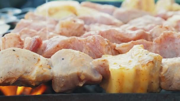 Cozinhando assadura de carne shashlik churrasco em espetos em braseiro ao ar livre — Vídeo de Stock