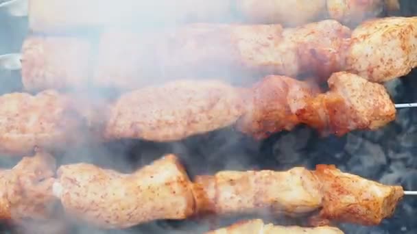 Cuisson barbecue shashlik viande rôtissage sur brochettes en brasero à l'extérieur — Video