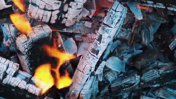 Płonące węgle, świecące na tle węgiel drzewny — Wideo stockowe
